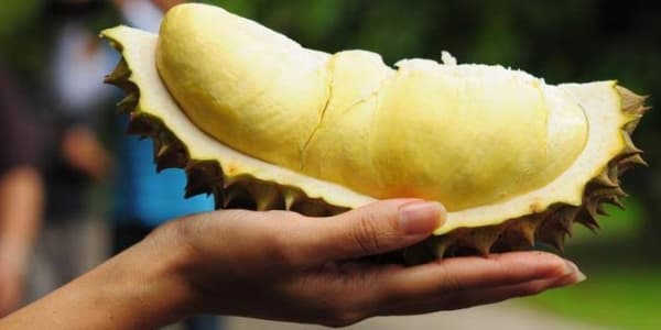 Durian. (Gala Media)